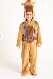 Make a no sew nativity costume in 10 minutes for most nativity characters. Where To Pick Up Bargain Nativity Costumes From As Little As 4 99 Chronicle Live