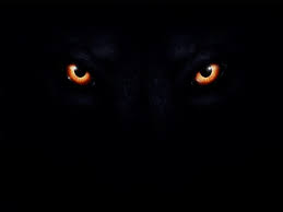 Qīngqīng cǎoyuán), and the story revolving around a clumsy wolf who wants to eat them. Evil Wolf Eyes Wallpapers Top Free Evil Wolf Eyes Backgrounds Wallpaperaccess