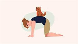 Cat Yoga