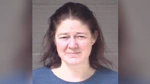 4-year-old found living in house where 41 dogs, other animals seized,  warrants show