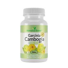 Image result for Garcinia volkensii