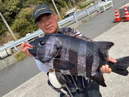 ライブドアブログ