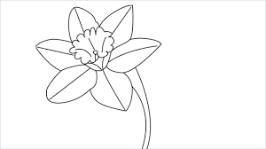 Connect the lines by drawing a wavy, circular shape. How To Draw A Daffodil Easy Step By Step 11 Easy Phase