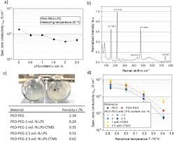 Functionalized Thiophosphate and Oxidic Filler Particles for Hybrid Solid  Electrolytes