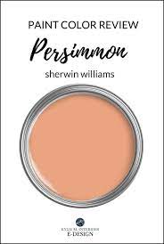 Sherwin Williams Persimmon 2025 Color