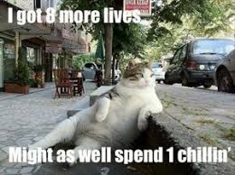 I bet john denver could have never guessed his lyrics would become a popular cat meme. Coronavirus Memes Being Shared In 2020 West Virginia Press Association