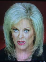 Cicada identification in my area