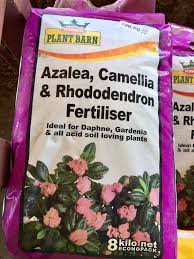 Rhododendrons Garden Feeds And Fertilisers Online In Uk Rhododendron Camellia Plant Gardenia Plant