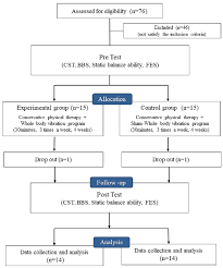 Flow Chart Of This Study Cst Chair Stand Test Bbs Berg