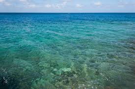 Image result for sea