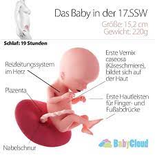 pin auf ssw schwangerschaftskalender