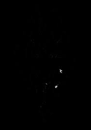 Two, four, three and one. Https I 4pcdn Org Tg 1372140712692 Pdf