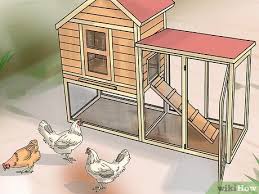 How long a bag lasts depends on the number of chickens that you have. How To Take Care Of Chickens With Pictures Wikihow