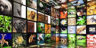 Dominate logistics llc is located in new orleans, la, united states and is part of the freight forwarding services industry. Africa The 5th Afd Digital Challenge Focuses On Climate And Biodiversity Afrik 21