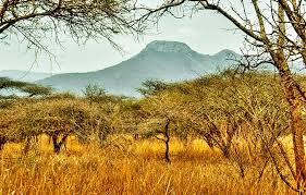 12 Top Rated Tourist Attractions In Swaziland Eswatini Africa Travel Scenic African Travel