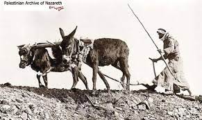 jinin جنين جنين عام 1921 صورة نادرة palestine history old photos sword in the stone