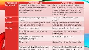 We did not find results for: Perbedaan Antara Gymnospermae Dan Angiospermae
