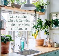 Du Mochtest Obst Gemuse Krauter Zuhause Anbauen Hast Aber Keinen Garten Oder Balkon Stadt Garten24 Zeigt Die Wie Du Dei Home Decor Decals Home Decor Decor