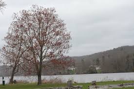 Connecticut State Parks