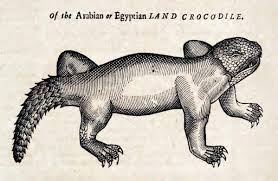 The History Of Four Footed Beasts And Serpents 1658 Animal Drawings Medieval Drawings Animal Sketches