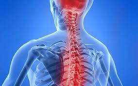 These two extremely important organs make cognition, sensation, movement and other physiological functions possible. Central Nervous System Cns Therapeutic Market With Top