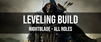 The time needed to achieve maximum level depends on player's approach. Eso Nightblade Leveling Build Dottz Gaming