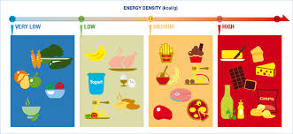 Role Of Protein And Yogurt In Appetite Control Page 3 Of 7