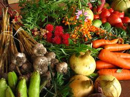 Is Organic Farming Really Better It Depends Sciworthy