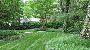 Ground (generally in front of or around a house) covered with grass kept closely mown. 6 Lawn Myths Busted Learn About Lawns With Gilmour Experts