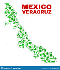 Veracruz von mapcarta, die offene karte. Hanf Verlasst Mosaik Veracruz Staats Karte Vektor Abbildung Illustration Von Kraut Bund 143154551