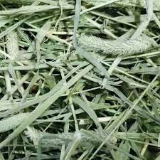Check spelling or type a new query. Timothy Hay 1kg Rm 7 Rabbit Guinea Pig Jerami Timothy Shopee Malaysia