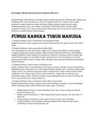 Nama latin rangka manusia dan fungsinya. Struktur Rangka Manusia Beserta Nama Latinnya