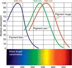 Colorimetry An Overview Sciencedirect Topics