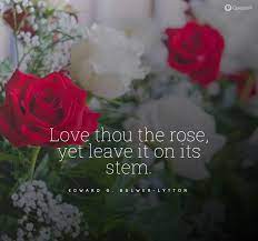 Pin On Inspirational Quotes