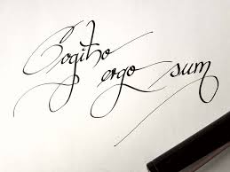 Cogito Ergo Sum Ich Denke Also Bin Ich Word Tattoos Cogito Ergo Sum Cogito Ergo
