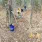 Welling Ridge Trails Volunteer Work Day event image