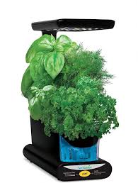 The great things about this small garden kitchen appliance are that it will easily fit anywhere you put it, you can grow almost anything in it, and it's affordable. Aerogarden Reviews 2021 All Models 101growlights