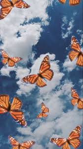 Maybe you would like to learn more about one of these? Butterfly Wallpaper Hd Enwallpaper