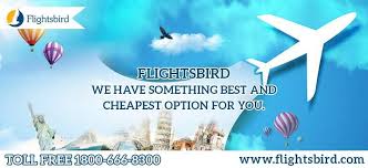 Find Your Flights From Austin Aus To Houston Iah Many Us Destination Many Options For Flights Ticket Book Cheap Flights Airfare Deals Book Cheap Flights