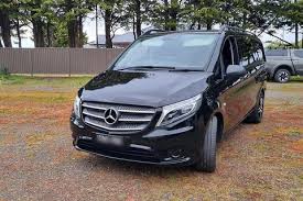 Image result for Lunar Blue 2017 Vito