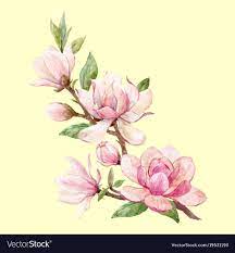Watercolor Magnolia Floral Composition Vector Image On Flower Painting Illustration Watercolor