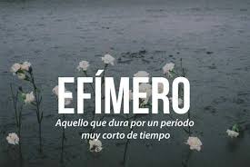 Efimero Palabras Cultas Palabras Bonitas Palabras Hermosas