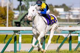 ソダシ・3歳牝馬 父：クロフネ 母：ブチコ 母父：キングカメハメハ 主な勝鞍：2021年・桜花賞 馬名の由来：純粋、輝き(サンスクリット). Skz4h49s0rwxzm