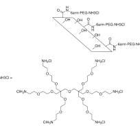 Graphene oxide for bioconjugation