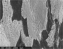 Image result for steel micrograph