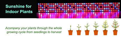 Hg800w grow lights use 16pcs 3w osram leds, which provide more light for plants' flowering and fruiting stages and get the best yield output. Jcbritw Led Grow Light Growing Lamps 90w Ac85 265v Full Spectrum Dimmable On Off Timer Plant Light For Indoor Plants Hydroponic Led Grow Lights Aliexpress