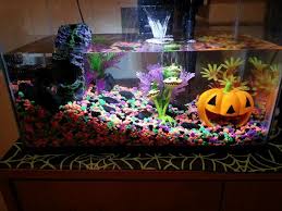 Read on to find the best decor for your aquatic habitat. Top Scariest Halloween Themed Aquariums