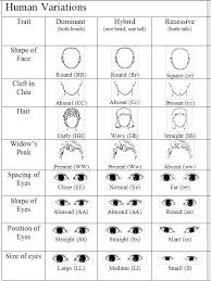 Eye Color Genetic Chart A Crash Course In Ball Python