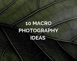 10 Best Macro Photography Ideas For Beginner Photographers Bored Of Flower Macro Photograph Macro Photography Macro Photography Tips Macro Photography Flowers