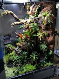Cool 50 Stunning Aquarium Design Ideas For Indoor Decorations Https Modernhousemagz Com 50 Stunning Aquar Reptile Terrarium Gecko Terrarium Planted Aquarium